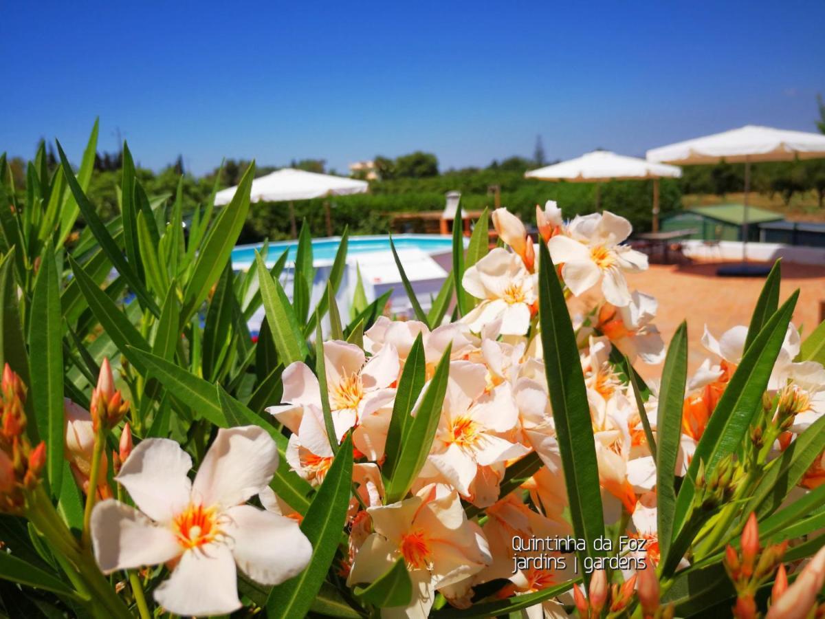 Sao Pedro  Quintinha Da Foz Guest House מראה חיצוני תמונה